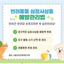 우리강아지 이미지