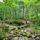숨겨진 힐링여행지, 백두대간 생태수목원(1/2) / 물치유길 (석병8담)