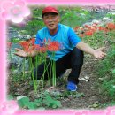 정주농장2 이미지