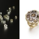 씨앤케이(CNK) 이미지