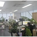 세무회계창 - 동대문구 왕산로 225 | 세무회계창