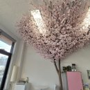 강형숙공인중개사사무소 이미지