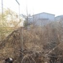 용산-203 이미지