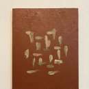피디아트
