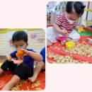 피노키오유아스쿨어린이집 이미지