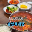 솔향육개장
