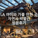 (주)아프리카박물관 | [LA 여행] 아이와 가볼 만한 곳 자연사 박물관 방문 후기 | 공룡관 및 입장권·주차·운영시간·휴무일...