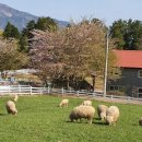 남해-176 이미지