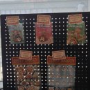 더밸런스코리아 | 성수 수제버거 맛집 제스티살룬 성수 웨이팅 방문 후기, 코리아 버거 챔피언십 1위 맛집