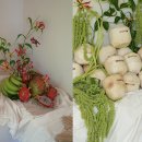 인센스조이 이미지