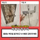 삼신장여관 | 물새는 벽타일 철거하고 누수배관교체 후 복원