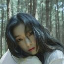 와이리 예쁘노