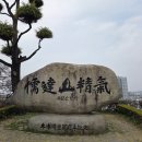 목포의 눈물 노래비 | 목포8경 유달산 3월말 봄꽃개화 주차정보