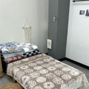 밍크극세사 두겹담요 남은수량정리 2장 이미지