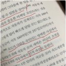 우연시스템 이미지