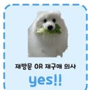 마라순코우 마라탕 공도점 이미지