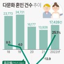 &#34;베트남 여성, 한국인과 결혼을 국적취득 수단으로 이용 사례도&#34; 이미지