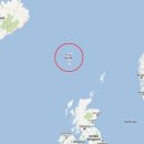 고래이야기 이미지