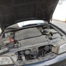 감삼동311 이미지