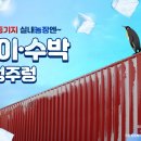 다운 농장 이미지