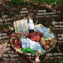 농월정오토캠핑장 이미지