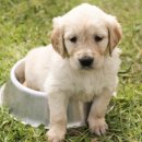 금천사료 이미지