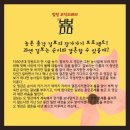 봄봄컴퍼니 이미지