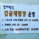 경미농장 네이버블로그