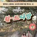 월드다방 이미지