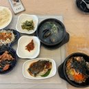 그린유치원 | 7월 4주차 일상 포토덤프