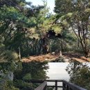 낙동강풍경소리 숲길 이정표, 풍산초-하아그린파크 | [금백종주] 부산의 심장 금정산~백양산 종주산행