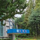 서구청소년센터 | [수영기록] 인천 서구 청소년센터 수영장 일일 자유수영 후기(평일, 주말)