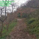 황죽펜션 이미지