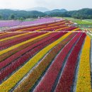 고석정광장 이미지