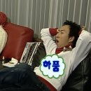 le puppy | 내 머리 속의 지우개 : 더드림쇼3