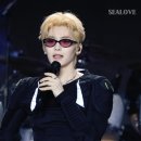 태호 | 2026.05.02.태호만음악제 후기 (by 후명호)