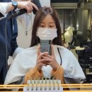 수인스타일 삼성점 | 삼성동 미용실/청담동 미용실 수인스타일 삼성점 염색 후기