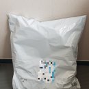 자세교정방석 밸런스닥터 내돈내산 한달 사용후기