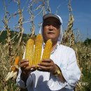 성공목장 이미지