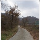 파평삼거리 | [20161112]파주 파평산(파평체육공원-늘노리 사방댐-팔각정자-파평산 동봉-군사도로-공동묘지-봉영사...
