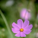 동백산오름공원체육시설 이미지