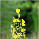 생수의강 이미지