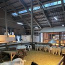 고창농원 | 고창 상하농원 파머스 글램핑 후기(겨울, 바베큐, 조식까지)