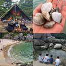 솔밭매점 | 원포리솔밭야영장 양양 캠핑장 A18 사이트 2박3일 후기(스노쿨링,주차,해루질)