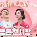 전통시장 멋내는거리 이미지