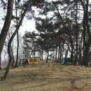 방아머리공원(솔밭) 이미지