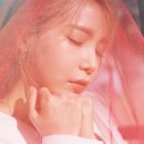 솔라씨