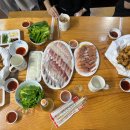 솔레올레 이미지