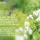 찔레꽃 피면 이미지