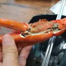 통영다찌 이미지